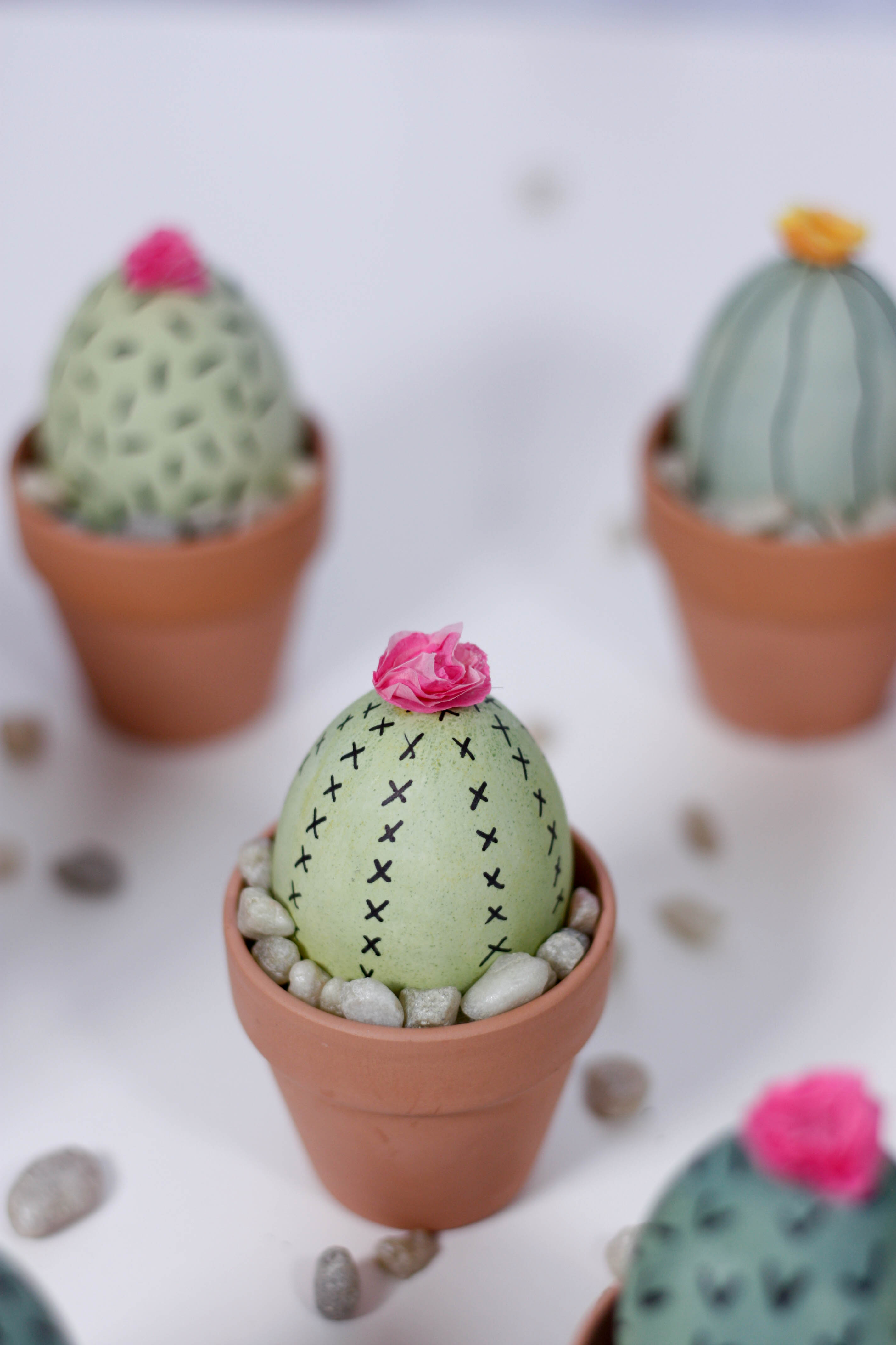 Easter Egg Cactus DIY - Quartz & Leisure