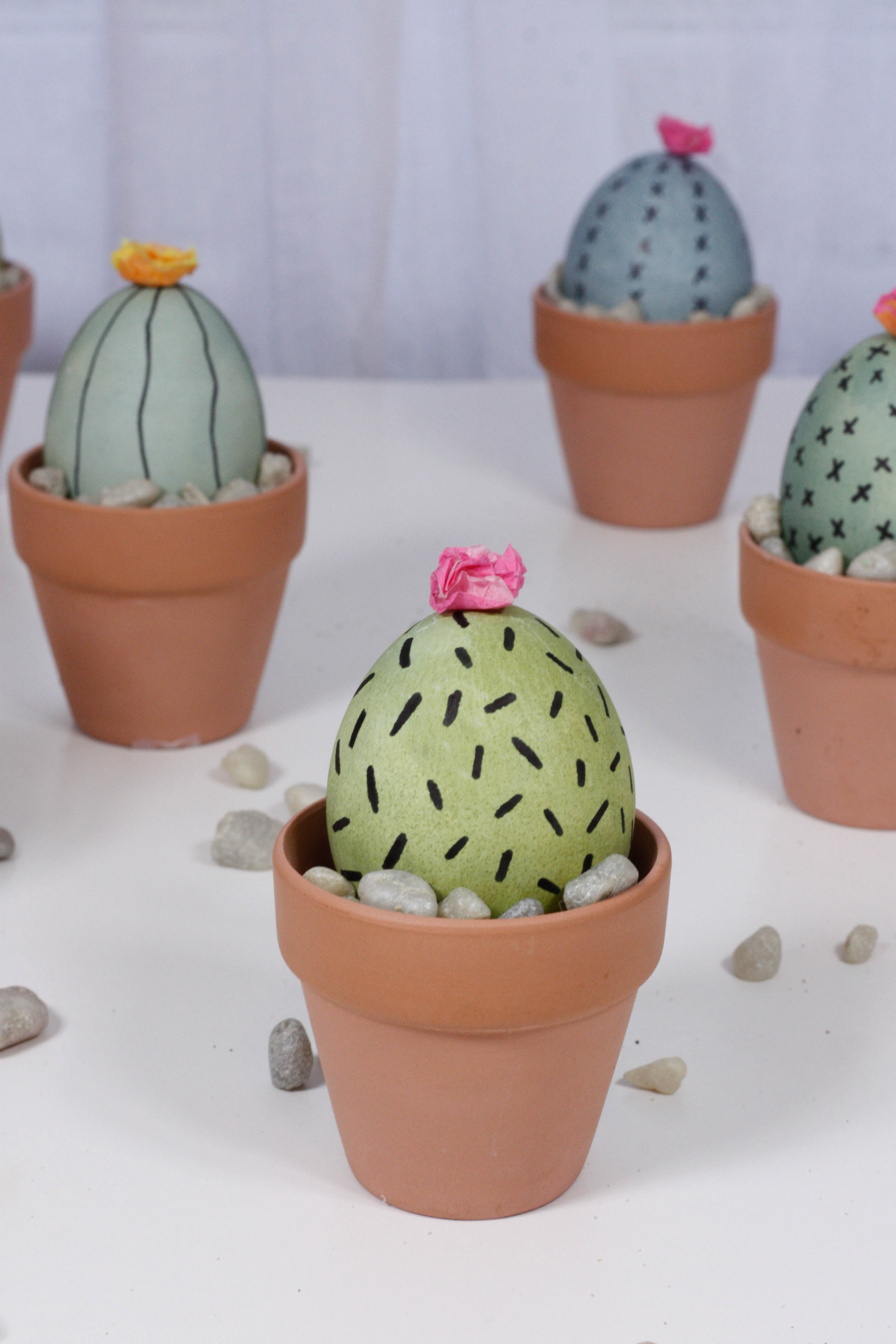 Easter Egg Cactus DIY - Quartz & Leisure